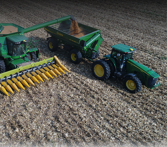 Banner divisor en Red De Productores